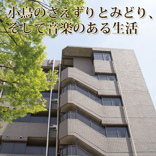 ノースコート