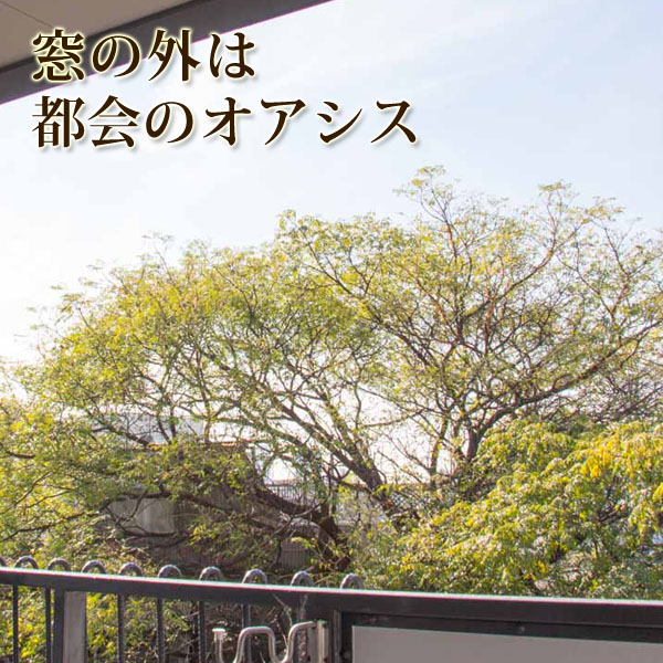 サニーエステート関目